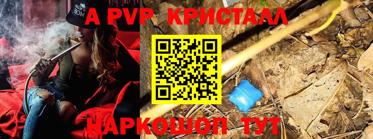 А ПВП крисы CK Новосибирск