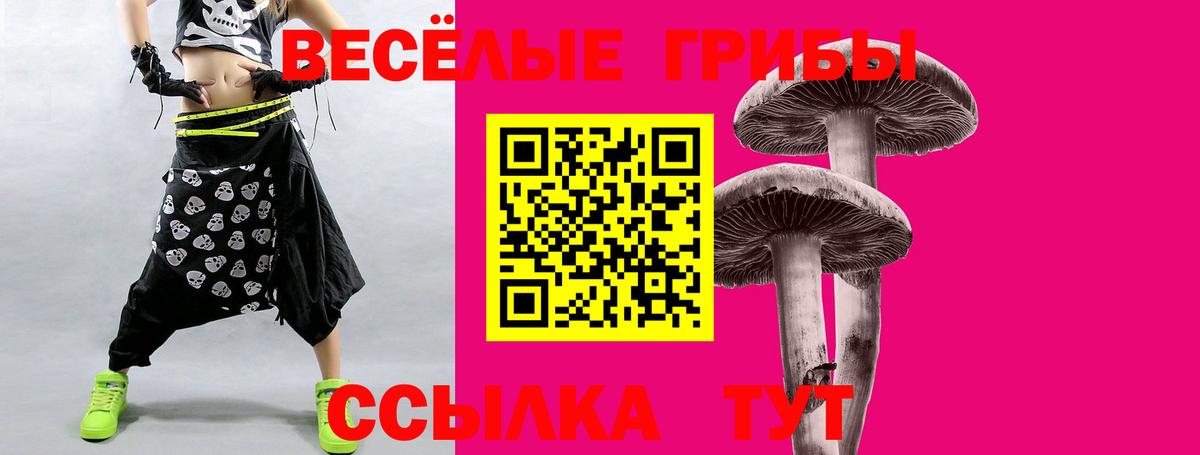 Галлюциногенные грибы ЛСД Новосибирск