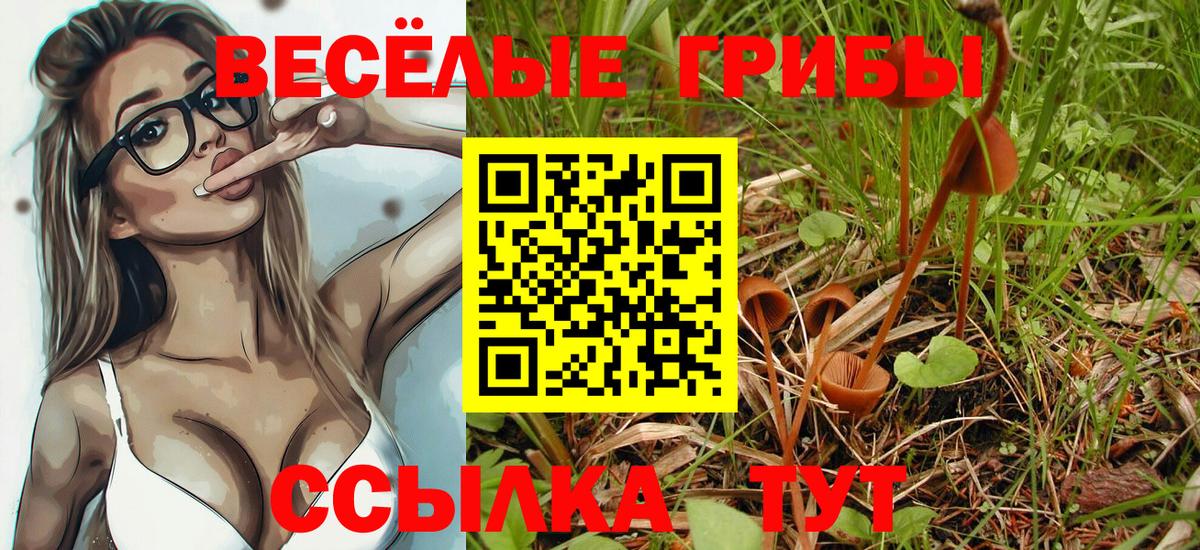 Псилоцибиновые грибы Magic Shrooms  Вход с VPN  Новосибирск 